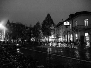 20141107_Ludwigsplatz